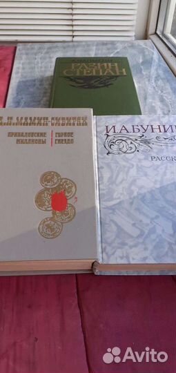 Мамин сибиряк, Чапигин, Бунин