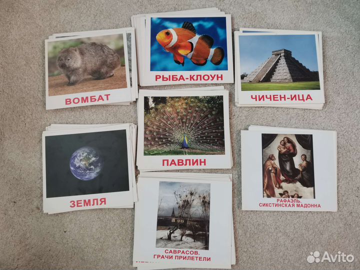 Глобус, микроскоп Levenhuk, карточки