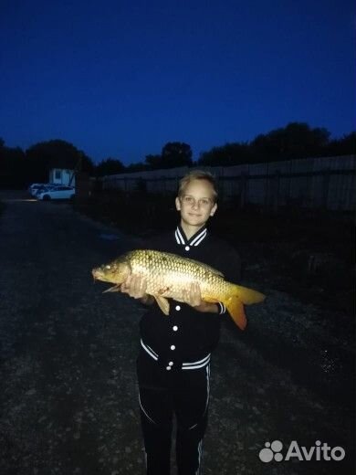 Технопланктон