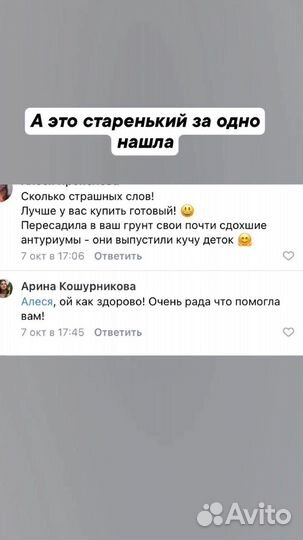 Грунт для растений