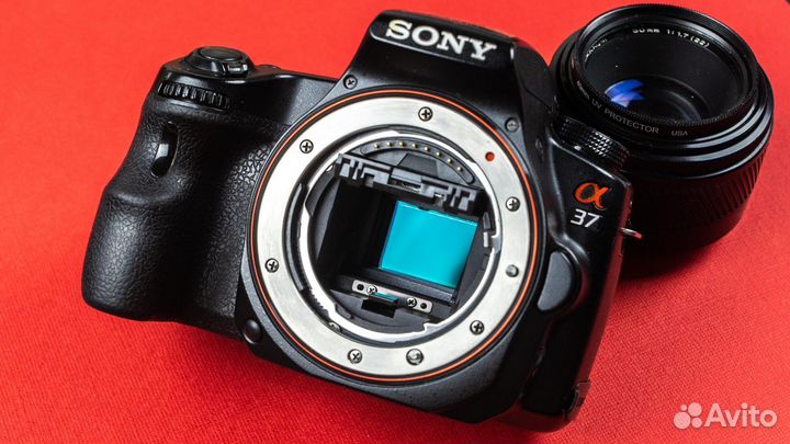 Sony A 37 + minolta 50 f1.7 + сумка