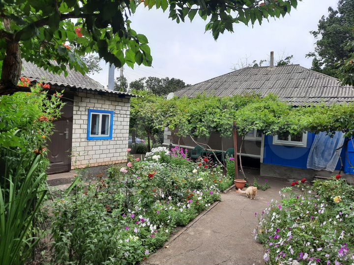 Дом 55 м² на участке 23 сот.