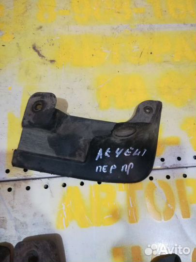 Брызговик акцент