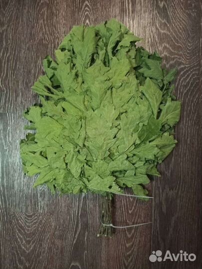 Банные веники