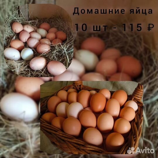 Молочная и мясная продукция домашняя.Тушёнка