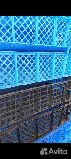 Ящики грибные