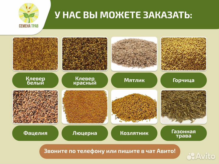 Семена Свекла сахарная протравленная