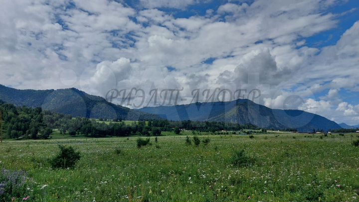 Участок 10 сот. (СНТ, ДНП)