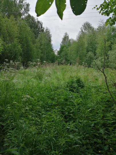 Участок 10 сот. (ИЖС)