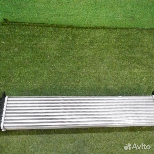 Интеркулер Хавэйл Джолион (2021-Н.В.)