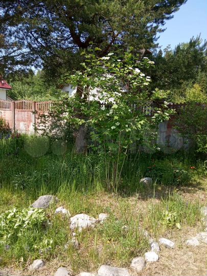 Участок 20 сот. (СНТ, ДНП)