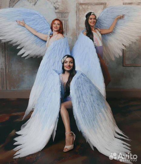 Крылья ангела аренда