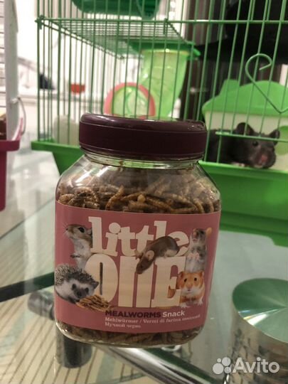 Little one опарыши