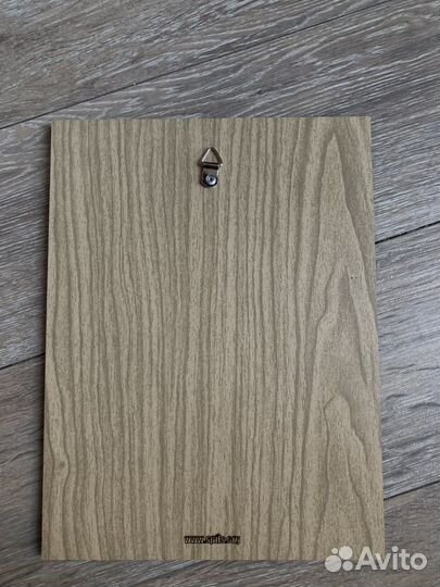 Картина Енот из Зарядья на магнитах