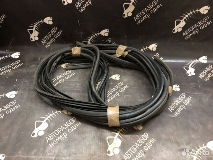 Уплотнитель проёма двери Nissan Qashqai J10E 1.6