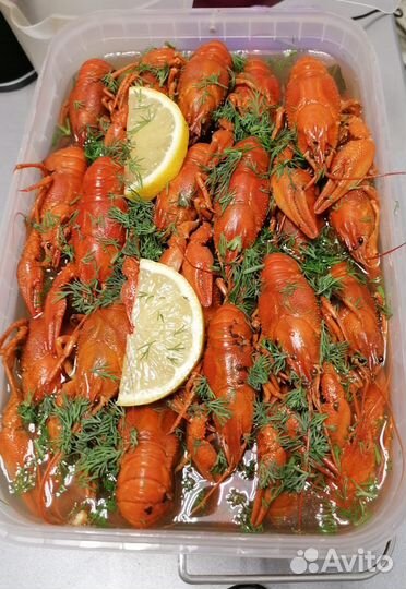 Живые, Вареные раки и Морепродукты