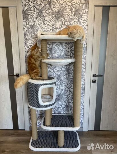 Когтеточка домик для кошки