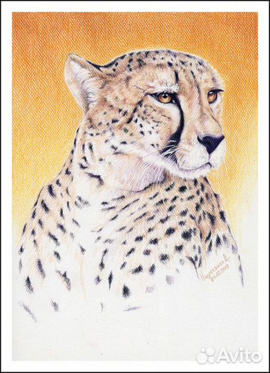 Картина / Рисунок