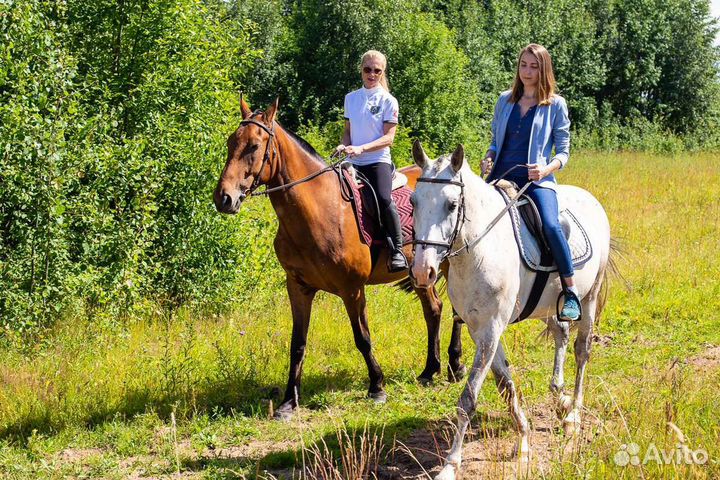 Конные прогулки, фотосессии с лошадьми
