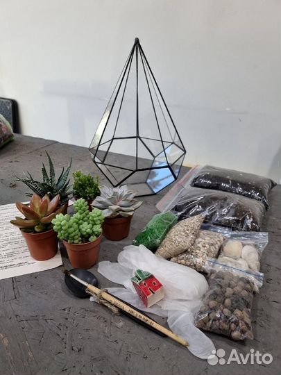 Готовые Наборы для создания флорариума