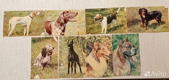 Наборы открыток, открытки СССР