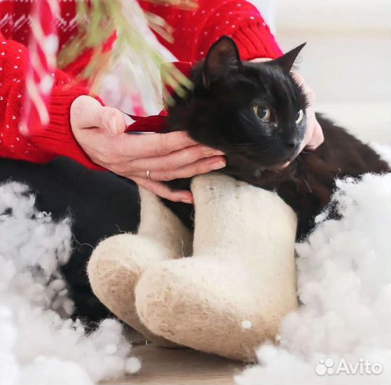 Кошка в дар