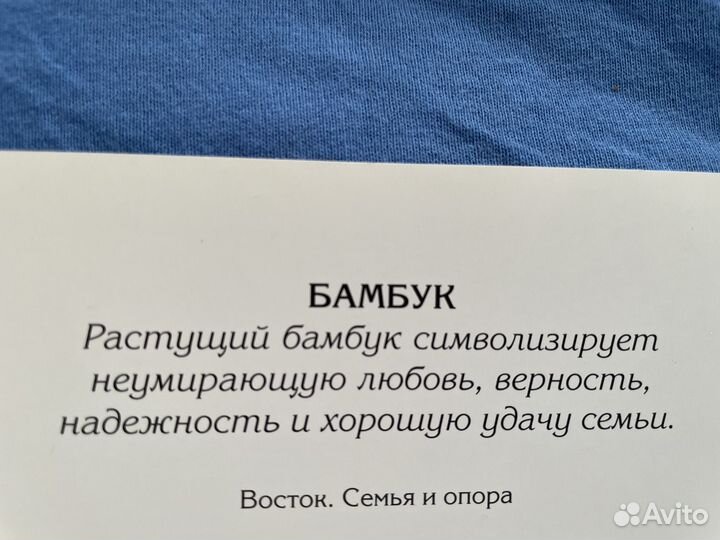 Бамбук символ любви верности надежности и удачи