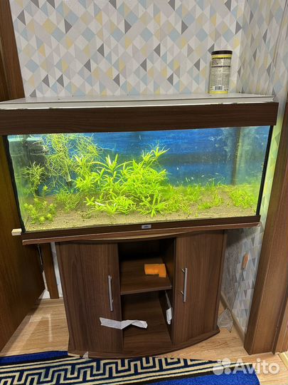 Аквариум ювель