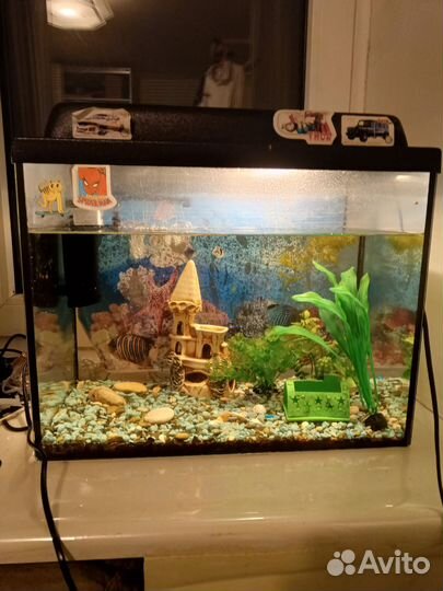 Аквариум