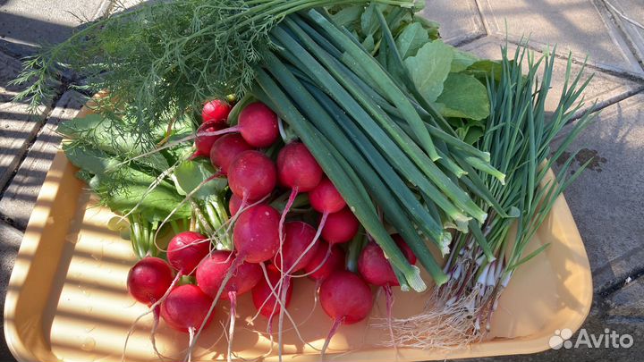 Домашние заготовки