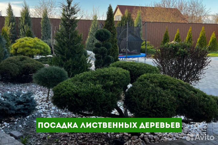 Ландшафтный дизайн планировка