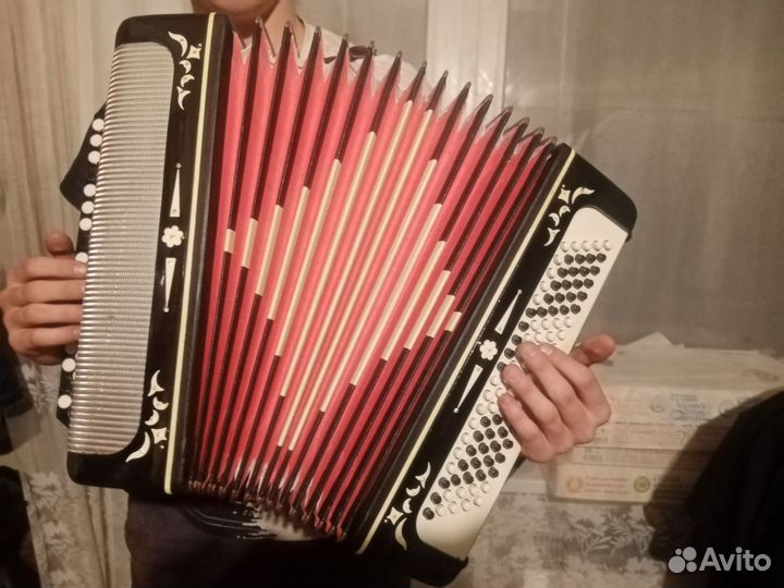 Баян Беларусь