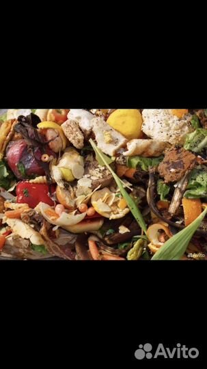 Пищевые отходы отдам даром