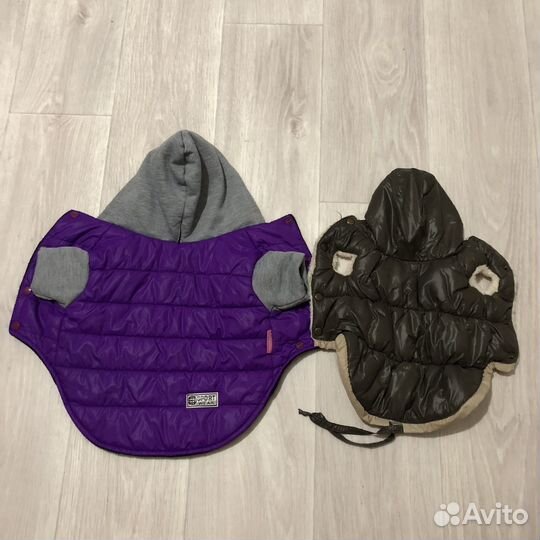 Вещи для собаки