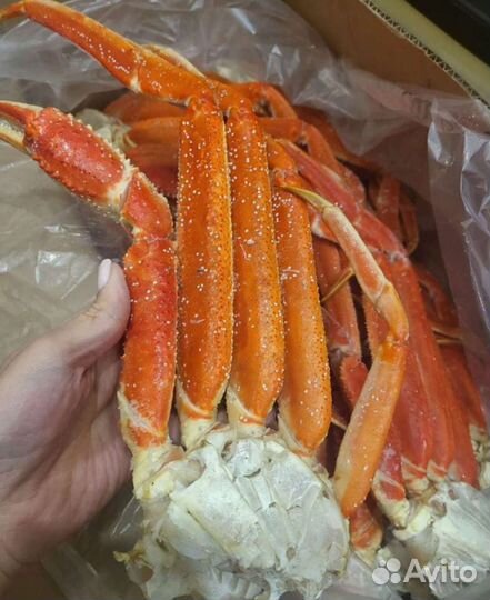 Конечности краба стригуна в/м