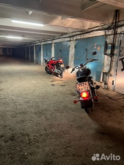 Suzuki intruder800
