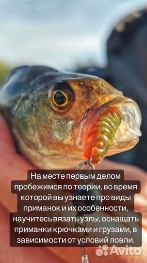 Обучение летней рыбалке для начинающих