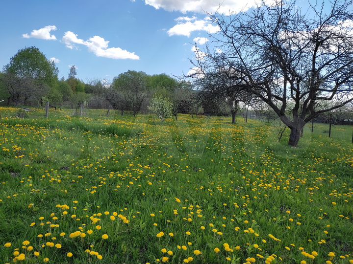 Дача 53 м² на участке 19 сот.