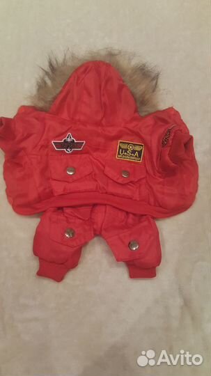 Куртка утепленная для мини той-терьера