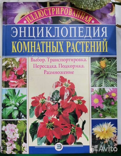 Книги о комнатных растениях