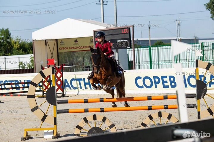 Конкур. Конь 2017 г.р