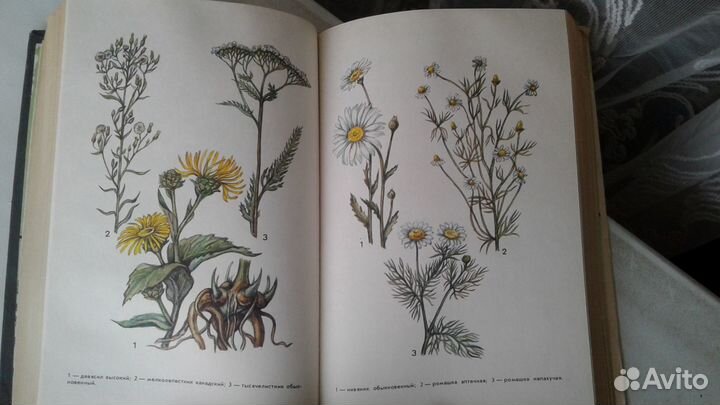 В.П.Махлаюк Лекарственные растения в народной меди