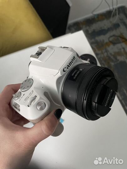 Фотоаппарат canon 250d kit +canon ef 50m f 1.8 stm