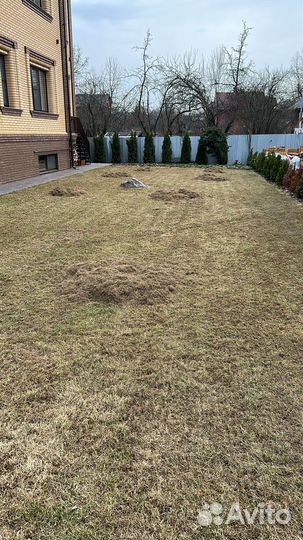 Аренда скарификатор аэратор makita 36см и 32см