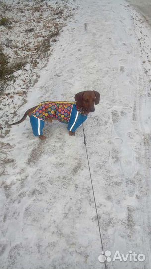 Такса вязка