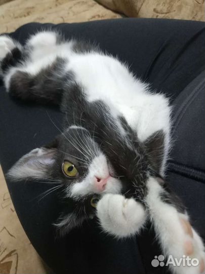 Очаровательная малышка