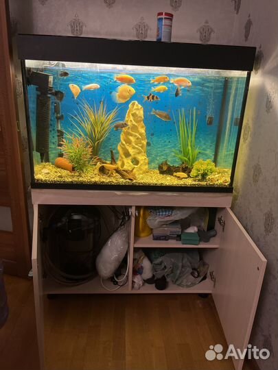Аквариум с тумбой, рыбками и всем содержимым