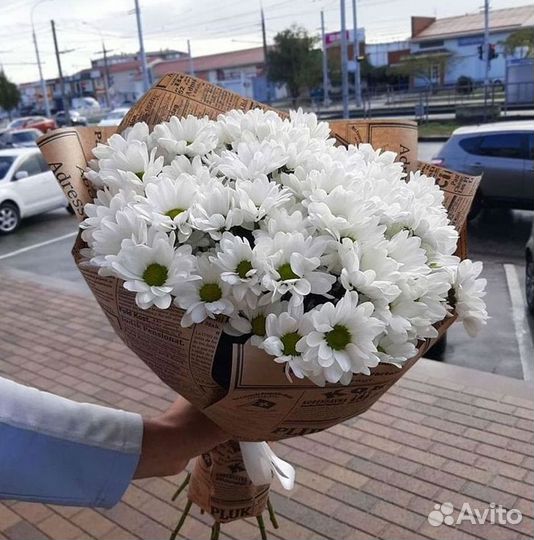 Хризантема. Букеты Цветы доставка