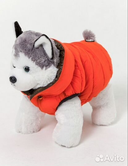 Одежда для собак