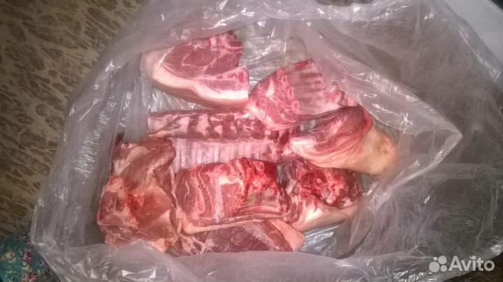 Парная свинина от Новгородского фермера